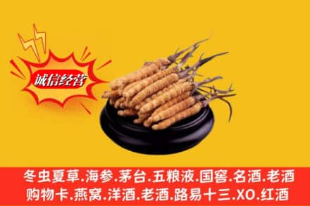 赣州全南县求购回收虫草多少钱每克